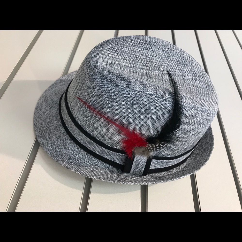 Men’s Stylish Silver & Black Fedora